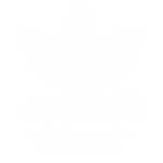 Nylon- / Polyestertragetasche 44 22 tragetaschen adidas.png e1752831236213